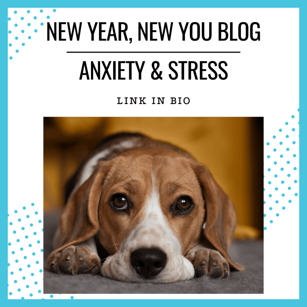 new Year, New you blog